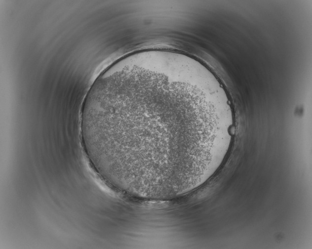 X0000114020858200910231835