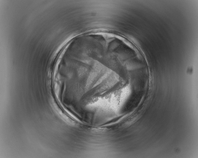 X0000114020859200910231835