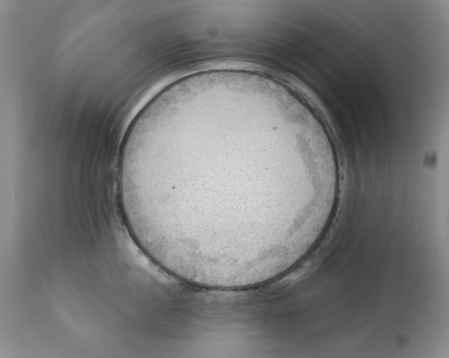 X0000114020860200910231835