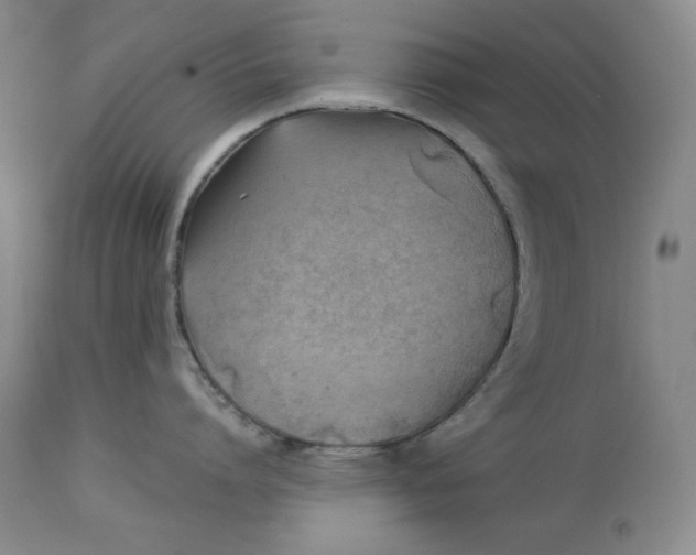 X0000114020864200910231835