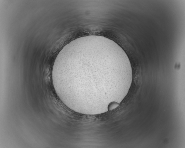 X0000114020866200910231835