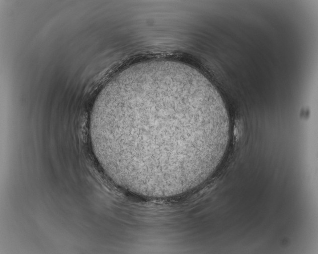 X0000114020867200910231835