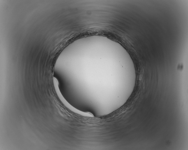 X0000114020868200910231835