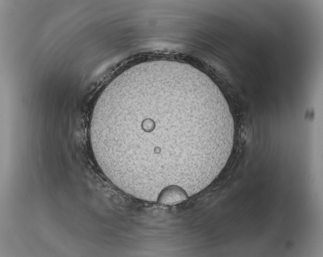 X0000114020869200910231835