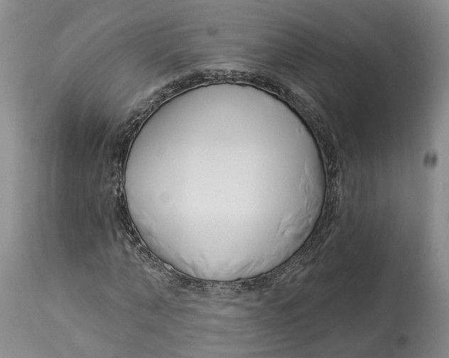 X0000114020870200910231834