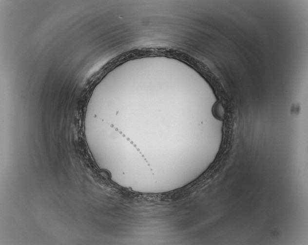 X0000114020871200910231834