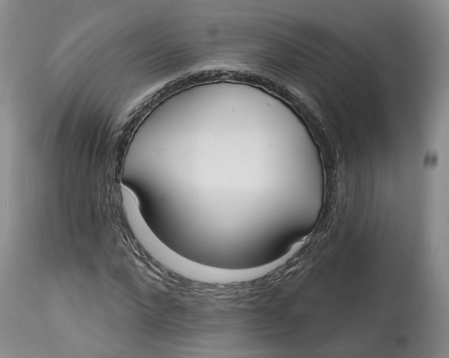 X0000114020872200910231834