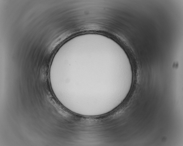 X0000114020873200910231834