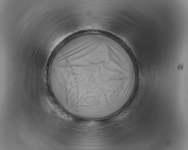 X0000114020879200910231834