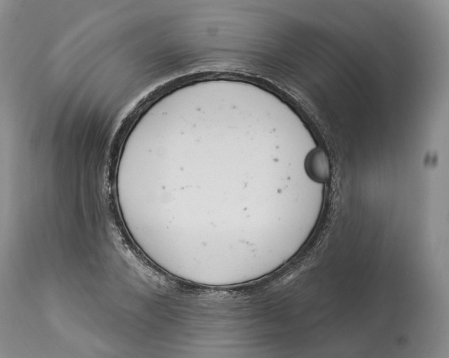 X0000114020880200910231834