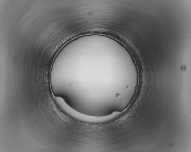 X0000114020881200910231834