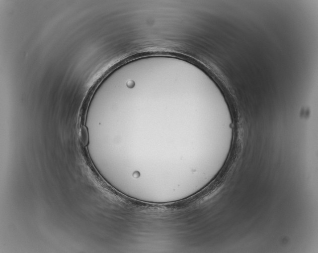 X0000114020885200910231834