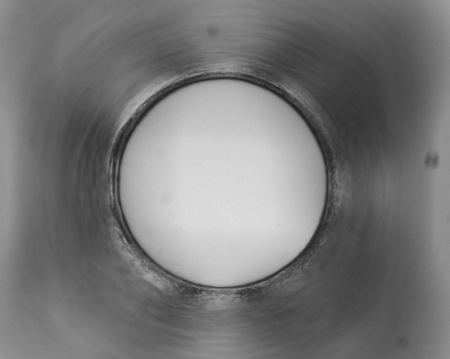 X0000114020886200910231834