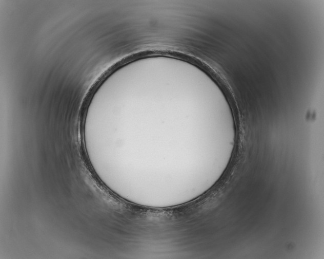 X0000114020887200910231834