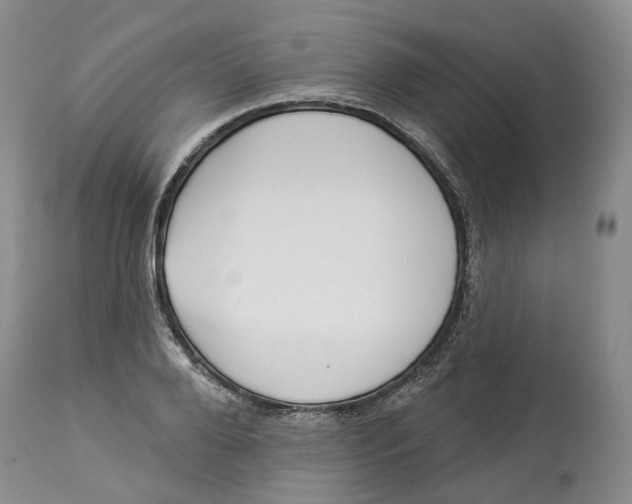 X0000114020888200910231834