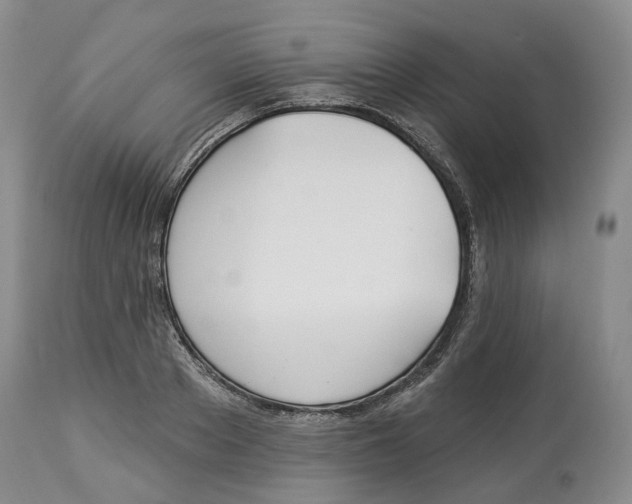 X0000114020889200910231834