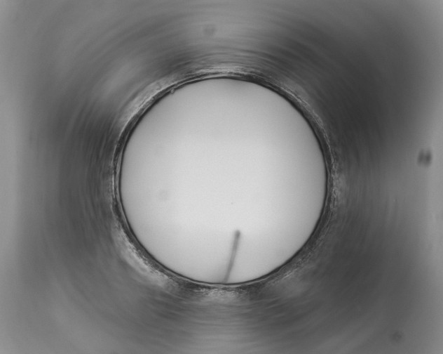 X0000114020890200910231834