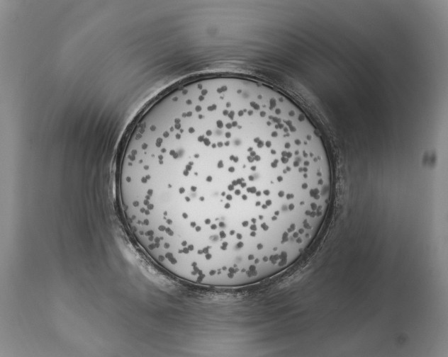 X0000114020892200910231834