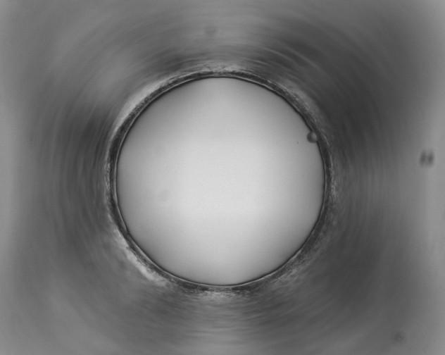 X0000114020894200910231834