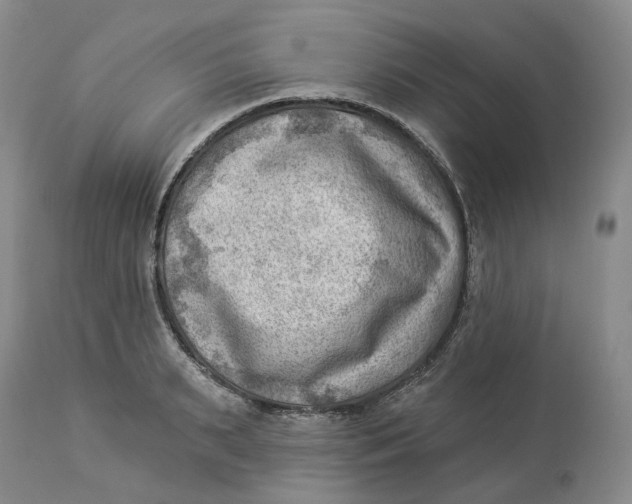 X0000114020895200910231834