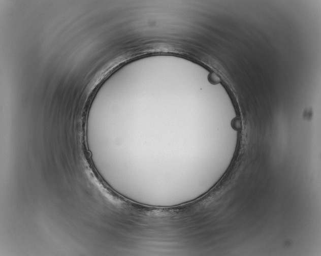 X0000114020898200910231834