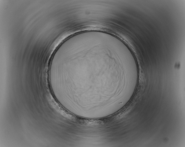 X0000114020899200910231834