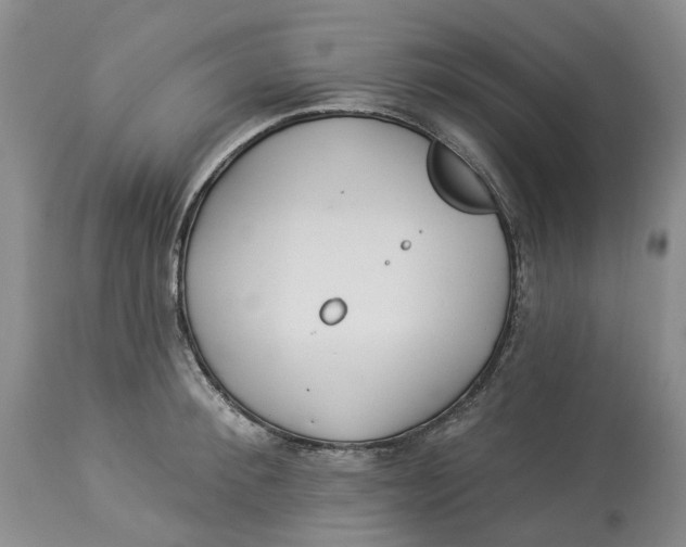 X0000114020900200910231834