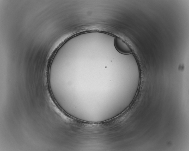 X0000114020902200910231834