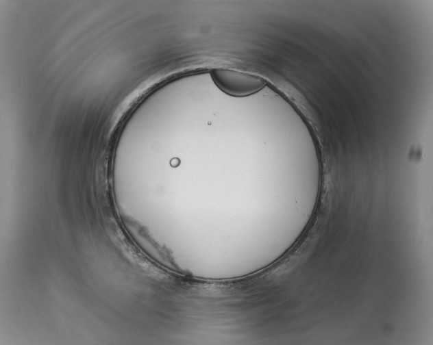 X0000114020904200910231834