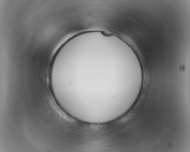 X0000114020908200910231834