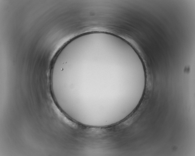 X0000114020910200910231834