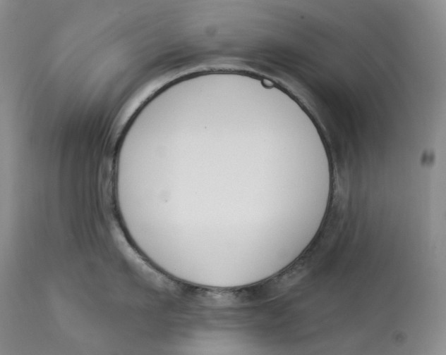 X0000114020911200910231834