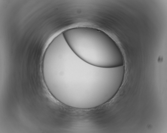 X0000114020912200910231834