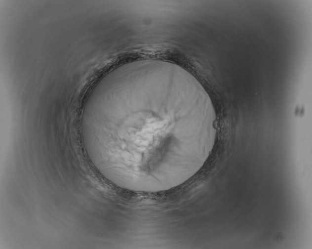 X0000114020913200910231833