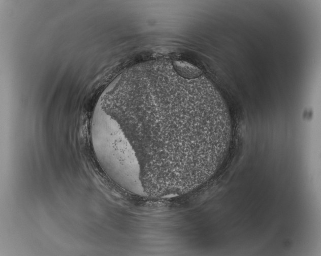 X0000114020914200910231833