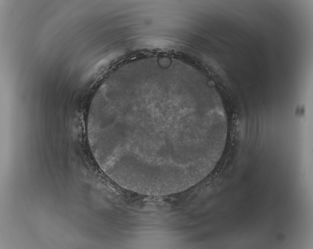 X0000114020918200910231833