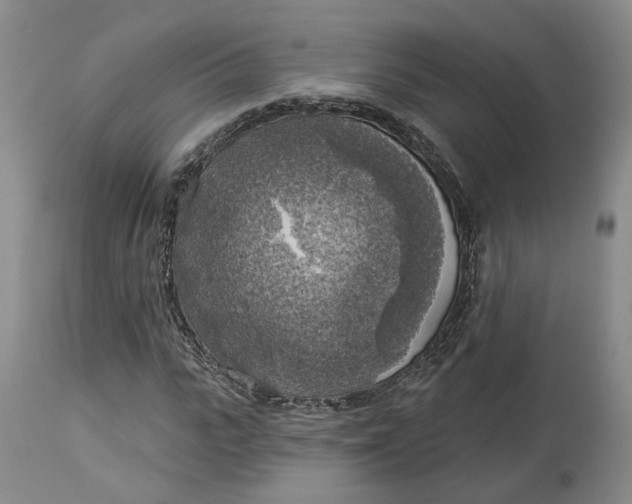 X0000114020919200910231833