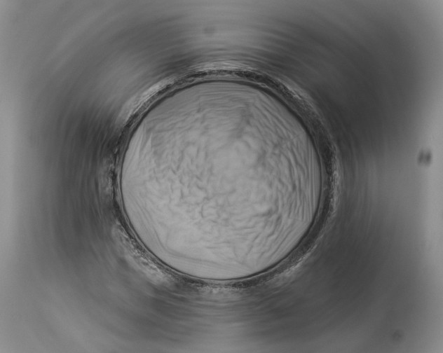 X0000114020921200910231833