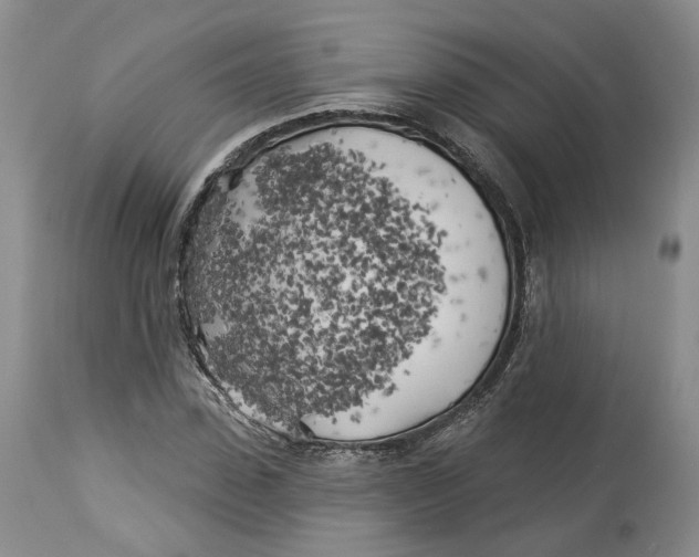 X0000114020923200910231833