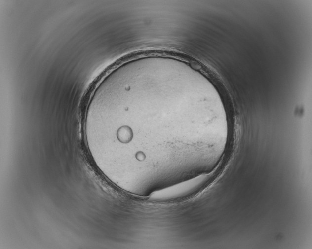 X0000114020925200910231833