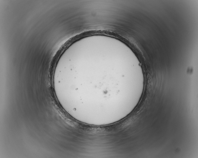 X0000114020927200910231833