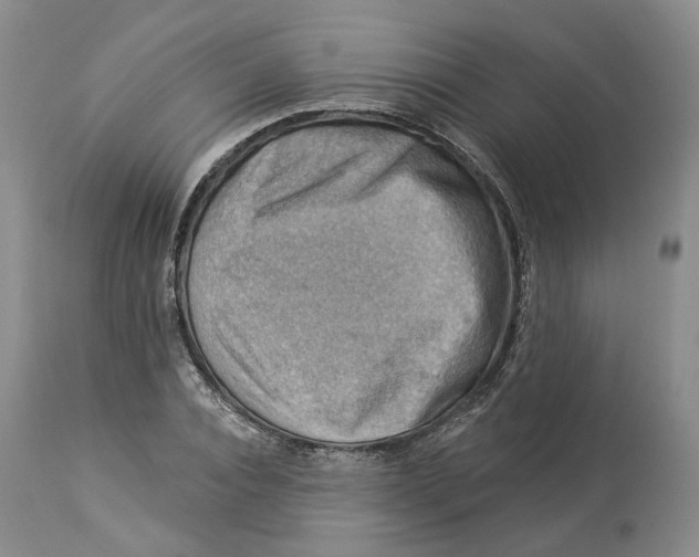 X0000114020928200910231833