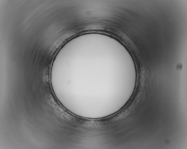 X0000114020929200910231833