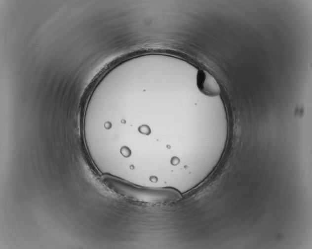 X0000114020934200910231834