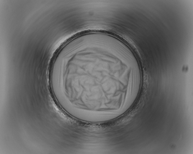 X0000114020935200910231834