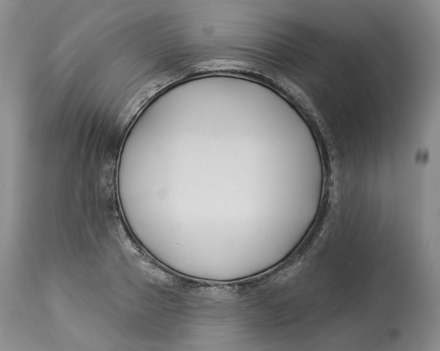 X0000114020937200910231834