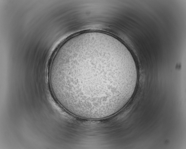 X0000114020939200910231834