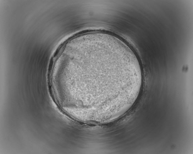 X0000114020943200910231834