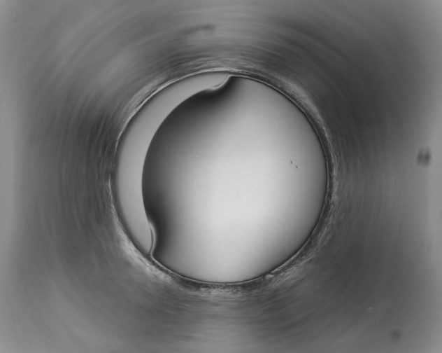 X0000114020946200910231834