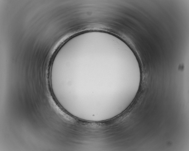 X0000114020947200910231834